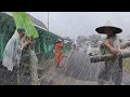 Download Lagu Wandelen in extreme regen en harde wind treft het plattelandsleven in Indonesië | ASMR-regen |slapen