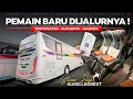 Download Lagu GOKIL, Penumpang Segini Tetap Berangkat‼️Trip Rute Terbaru Sinar Jaya Yogyakarta - Surabaya - Madura