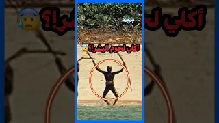 سر الجزيرة المفقوده آكلي لحوم البشر 