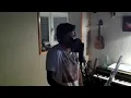 David Guetta ft. Sia - She Wolf (Falling To Pieces) / Damir Kedžo Live Cover