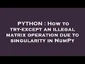 PYTHON How to try-except an illegal matrix operation due to singularity in NumPy