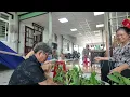 Download Lagu Cậu 7 làm lại mấy chậu Lan cho nhà bếp của mẹ