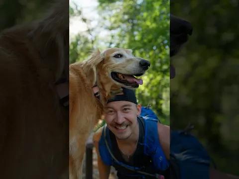 Hikes with Nala look a little different these days. Wandering with my girl