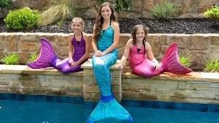 Download Live Mermaids Swimming in Our Pool! MP3