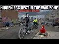 The Hidden Egg Nest in the War Zone - Albuquerque