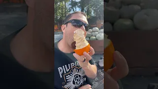 Our first ever pumpkin patch adventure here in Canada at Maan Farms! 🎃