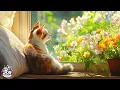 Download Lagu Anti-angst slaapliedjes voor katten - slaapmuziek voor katten met spinnende kattengeluiden, zoete...
