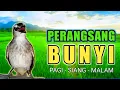 Download Lagu Suara TRUCUKAN NGALAS NGRIWIK sambung ROPEL perangsang bunyi burung trucuk AMPUH