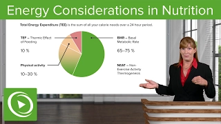 energy considerations in nutrition bmr rmr u0026 physical activity nutrition lecturio