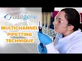 Multichannel Pipetting Technique