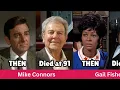 Mannix 1967 Cast THEN and NOW 2025 - Where Are the Stars After 58 Years