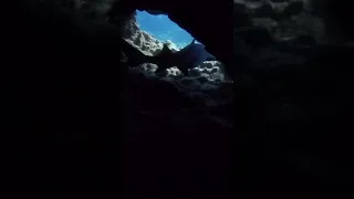 Cave DIVING with SHARK #scubadiving #shark #sailingbyefelicia