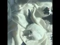 light - Analog Heart