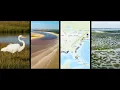 Coastal Salinity Index Real-Time Gage Expansion Across the Gulf of Mexico and Eastern Seaboard