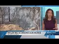 Crews battle 600-acre wildfire in Wilkes County as evacuations continue