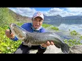 Download Lagu BENAR-BENAR GILA‼️ GABUS DANAU TOBA SEDANG KELAPARAN, MONSTERNYA PADA KELUAR SEMUA