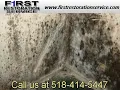 stanley steemer FEURA BUSH NY 12067   Pros
