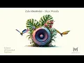Zakes Bantwini, Skye Wanda, Jnr SA - Wena Baba (Visualizer)