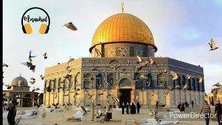 ياطير مهاجر لبعيد   صوت ملائكي جميل جدا دندنها