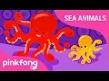 Ooh La la, Octopus | Sea Animals Song | Learn Animals | Pinkfong Songs for Children Mp3 Song Download