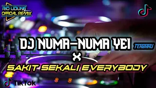 Download Dj NUMA NUMA YEI x Sakit Sekali Everybody Terbaru FULL BASS REMIX ( VIRAL TIKTOK ) MP3