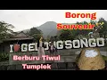 Download Lagu BERBURU OLEH OLEH KHAS CANDI GEDONGSONGO DAN KULINER KHAS TIWUL TUMPLEK#gedongsongo