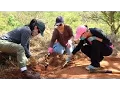 Internment camp s hidden history uncovered by West Oahu students