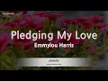 Download Lagu Emmylou Harris-Pledging My Love (Karaoke Version)