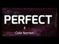 Download Lagu Cole Norton - Perfect ( Lyrics )