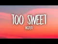 Download Lagu Hozier - Too Sweet (Lyrics)