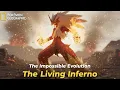 Lagu Real Life Pokémon - NatGeo: Blaziken | The Living Inferno of Hoenn