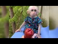 How Mom s Warm Love Nurtures Tiny Jack s Fruit Snack Addiction