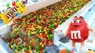 how m u0026ms are made in factory largest m u0026ms factory tour 