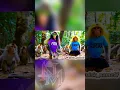 Download Lagu GARAM CINA 🐒😁 #monyet #laguviral #monkey #lagulucu #videolucu #hiburan #funny #animals #remix