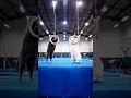 #kitten #cat #pets #cute #ytcat #yt #ytshorts #funnyanimal #cats #kitty #tiktok #tiktok