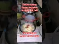 Download Lagu Santri pekok niken salindri#shorts Bakso frozen yang bikin kapok #short