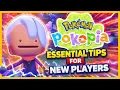 Essential Tips You Need to Know in Pokemon Pokopia Beginner Guide