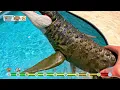 I Found a Giant T. Rex in My Pool! Jurassic World Dinosaurs