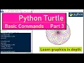 Learn Python Turtle Basic Commands Part 3 with examples write shape color pensize