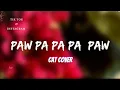 Paw Pa Pa Pa Pow Song (Gyurz)Cat Cover x Instrumental Full Song [Tik Tok \u0026 Reels]
