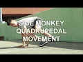 Side Monkey Quadrupedal Movement