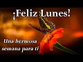 Mensaje de buenos dias con imagenes bonitas Feliz Lunes e inicio de semana hermosa semana