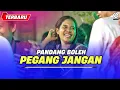 Download Lagu PANDANG BOLEH_PEGANG JANGAN - Joget Dangdut Terbaik - REMIX  TERBARU 2025