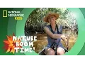 Florida Everglades Nature Boom Time natgeokids