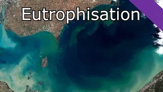 L'Eutrophisation: proliférations d'algues et catastrophes écologiques MaP#23