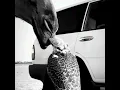 رد البرى خالد البريك بطي