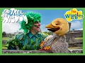 Download Lagu Old Man Emu 🌳 The Tree of Wisdom + The Wiggles