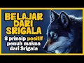SRIGALA TAK PERNAH BERMAIN SIRKUS, 8 PRINSIP POSITIF PENUH MAKNA DARI SRIGALA #PannadikaChannel
