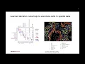 Squidpy A Scalable Framework for Spatial Omics Analysis