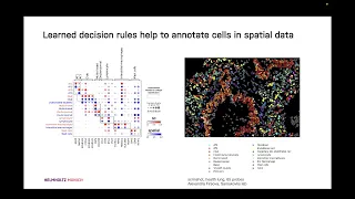 Squidpy A Scalable Framework for Spatial Omics Analysis